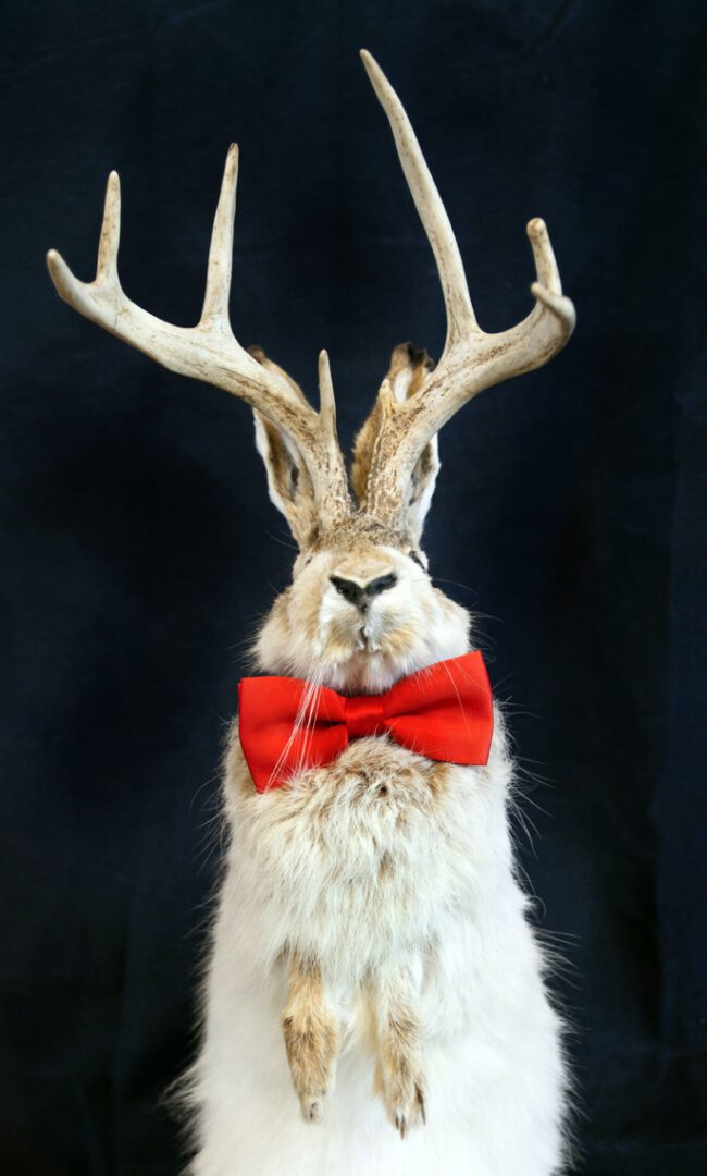 A rabbit with antlers wearing a red bow tie.