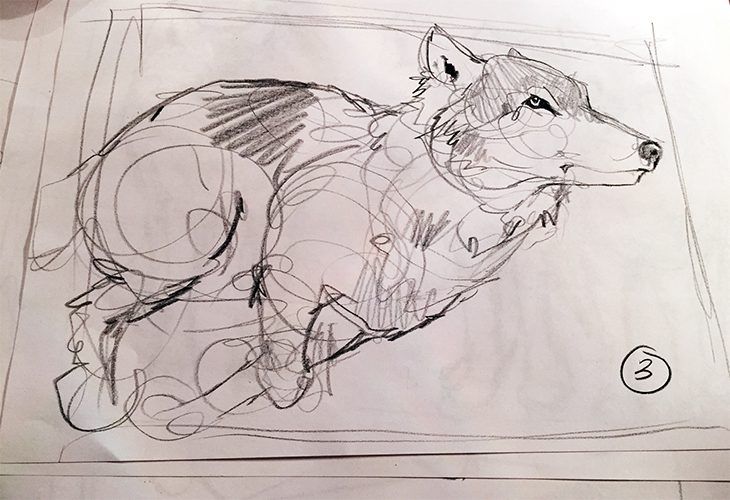 A drawing of a wolf on a piece of paper.