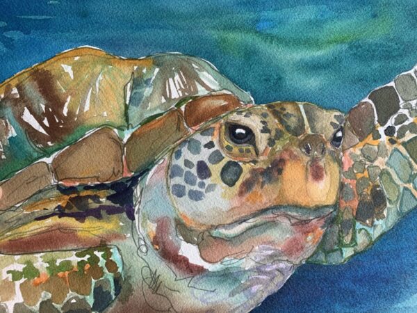 A watercolor painting of a sea turtle.