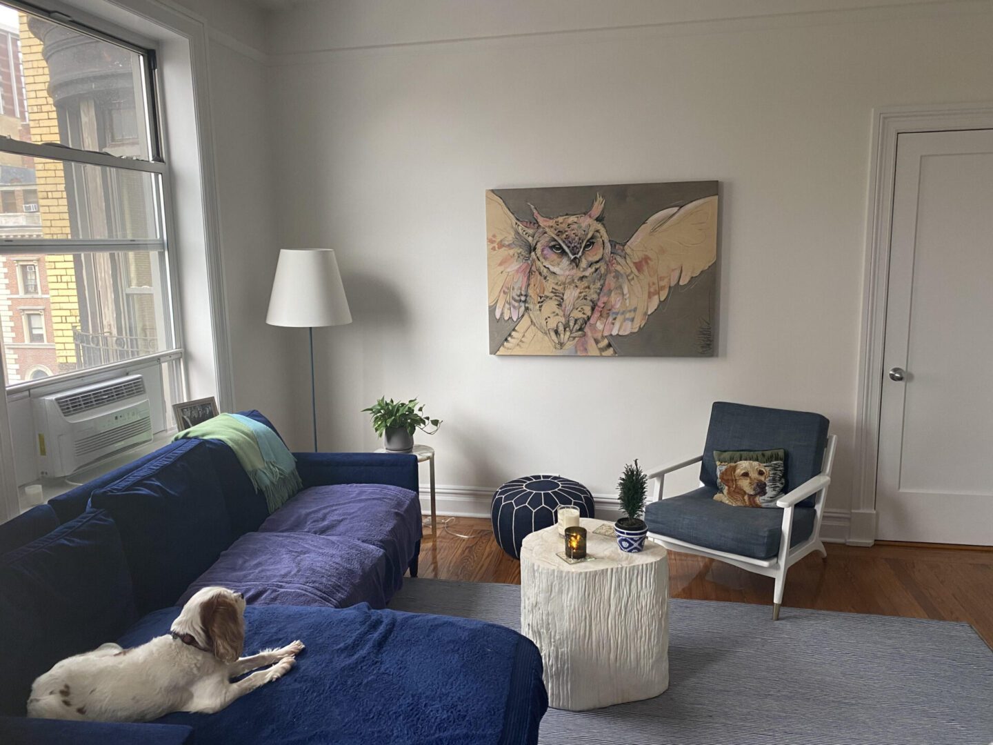 A dog is laying on a blue couch in a living room.