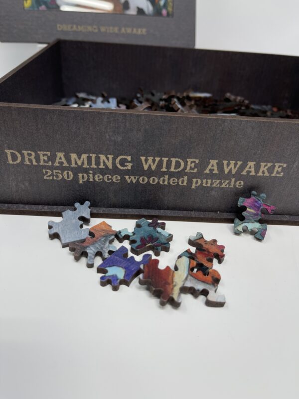 Dreaming Wide Awake" puzzle box.