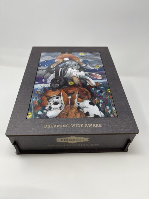 A box with a picture of 250 PIECE WOODEN PUZZLE - "Dreaming Wide Awake".