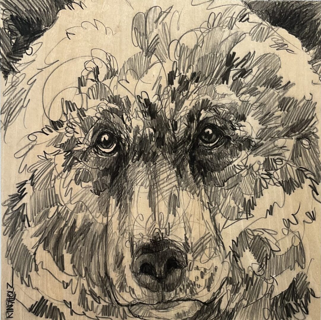 Black and white pencil drawing of a bear's face.