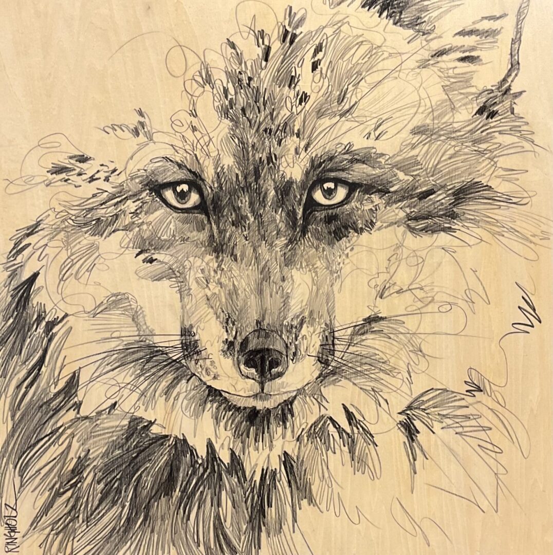 Close-up sketch of a fox's face.